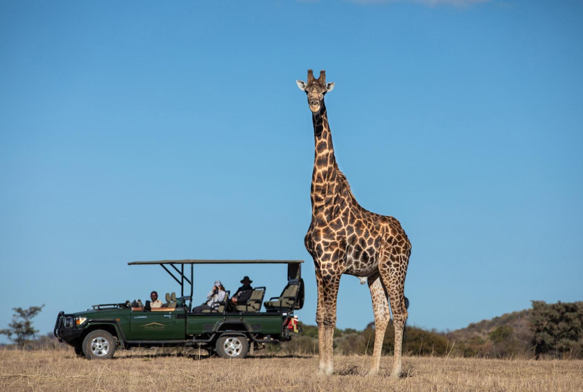 Safari Plains Villa Mabula Game Reserve Dış mekan fotoğraf