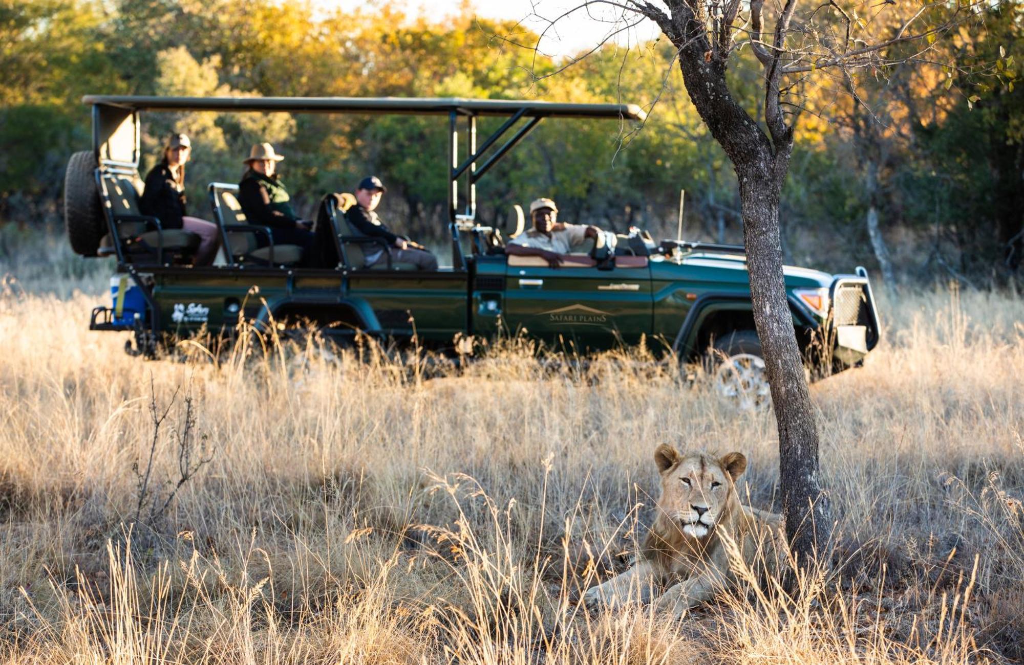 Safari Plains Villa Mabula Game Reserve Dış mekan fotoğraf