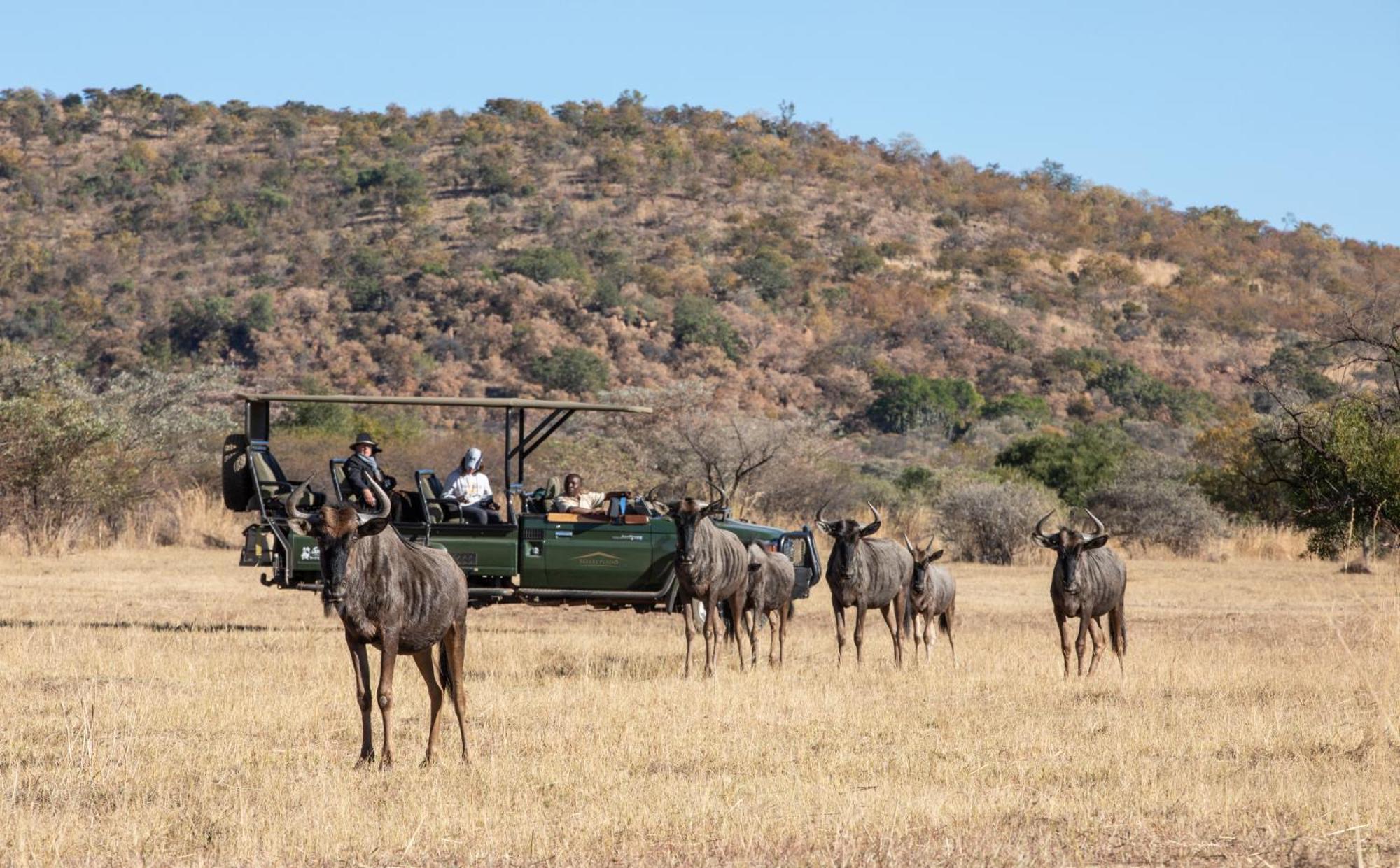 Safari Plains Villa Mabula Game Reserve Dış mekan fotoğraf