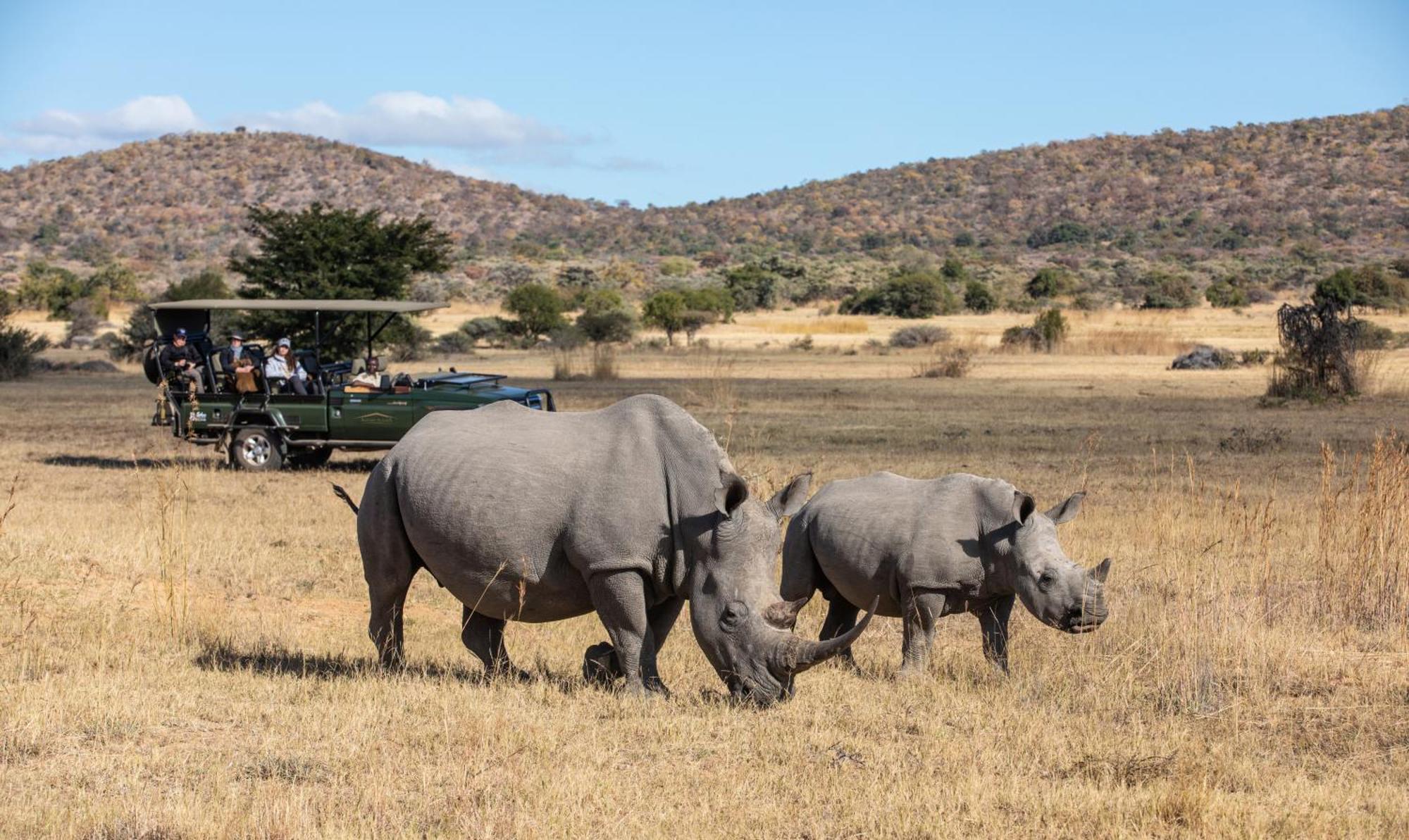 Safari Plains Villa Mabula Game Reserve Dış mekan fotoğraf