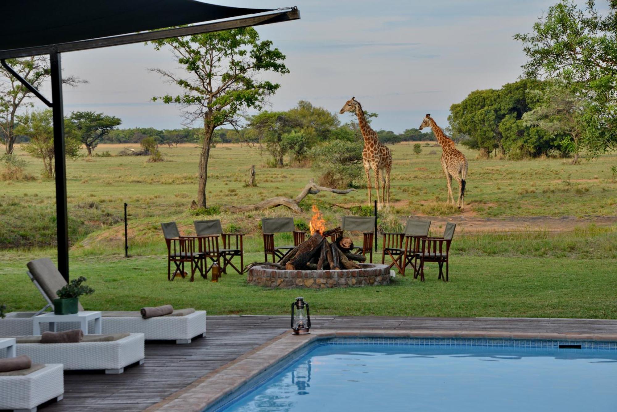 Safari Plains Villa Mabula Game Reserve Dış mekan fotoğraf