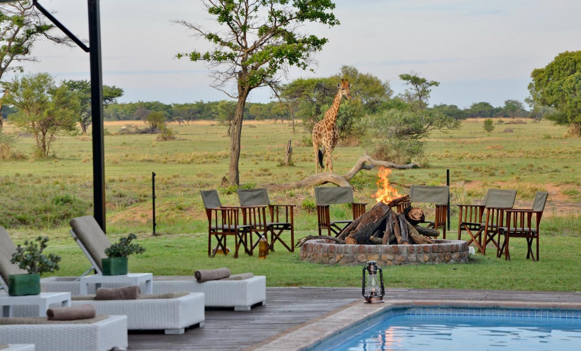 Safari Plains Villa Mabula Game Reserve Dış mekan fotoğraf